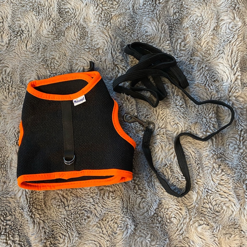 Niteangel Rabbit Harness